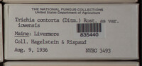 Image Associated With the Occurence